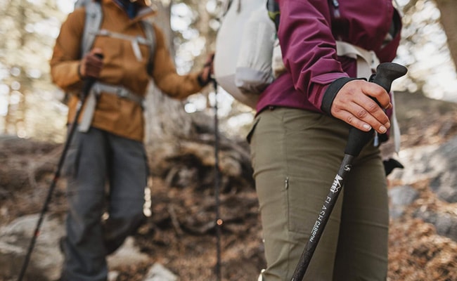 walking-sticks