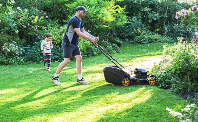 lawn-mowers-for-small-yard