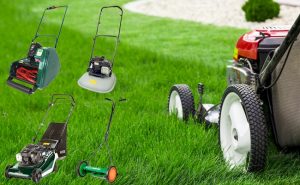 Types-of-Lawn-Mowers
