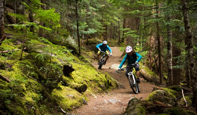 Trail-Mountain-Bikes
