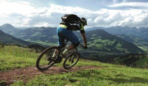 how-to-choose-a-mountain-bike