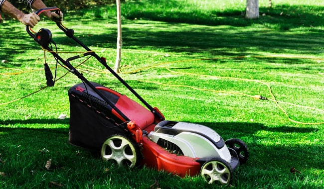 Best-Mulching-Lawn-Mowers