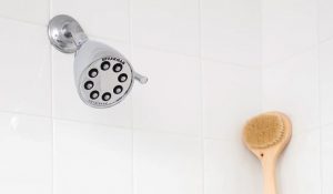 Speakman-S-2251-E175-Shower-Head-Review